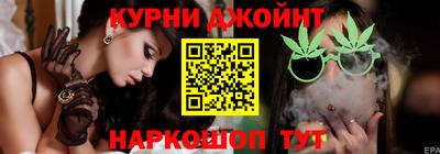 мдпв Кингисепп