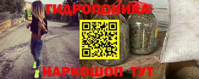 мдпв Кингисепп