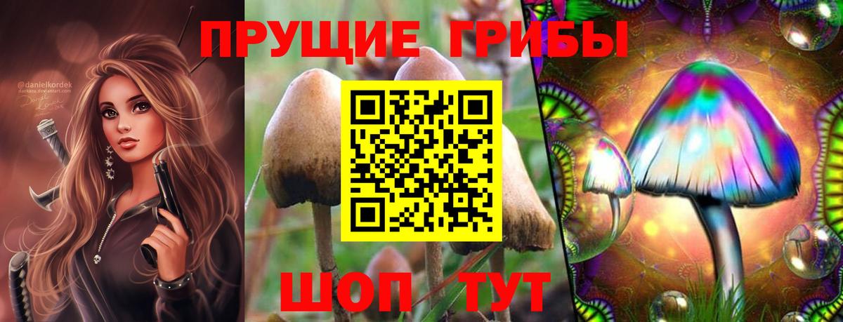 Краснознаменск  Галлюциногенные грибы ЛСД  Вход с VPN 